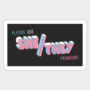 She/They Pronouns (straight) Magnet
